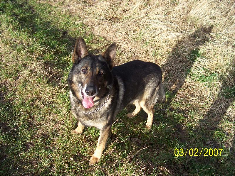 Foto: tak u� mi ten aport ho�!!!!!-Beni�ek napnut� �ek�