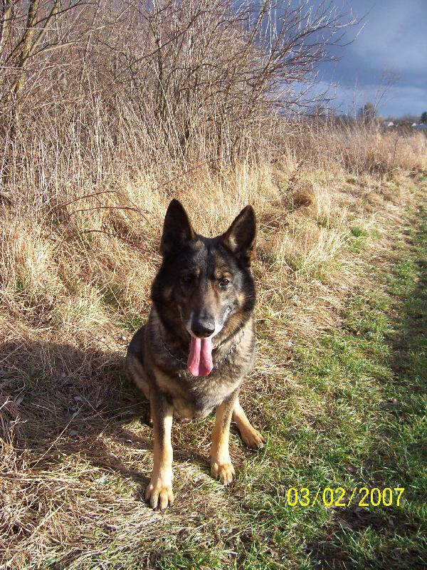 Foto: Klidn� si m� vyfo�!!!-Beni�ek na proch�zce