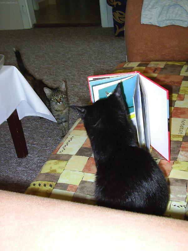 Foto: ...sebevzd�l�v�n�...