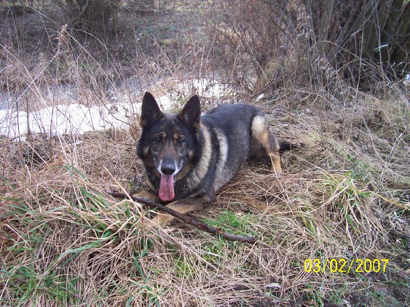 Foto: mus�m chvilku vydechnout....-Beni�ek odpo��v� ale je po��d ve st�ehu!!