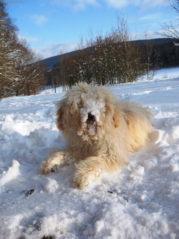 Foto: Kone�n� sn�ek!!!