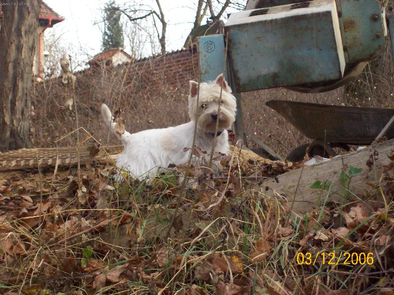 Foto: Ben��ek, to je mil��ek-Prost� zlat��ko