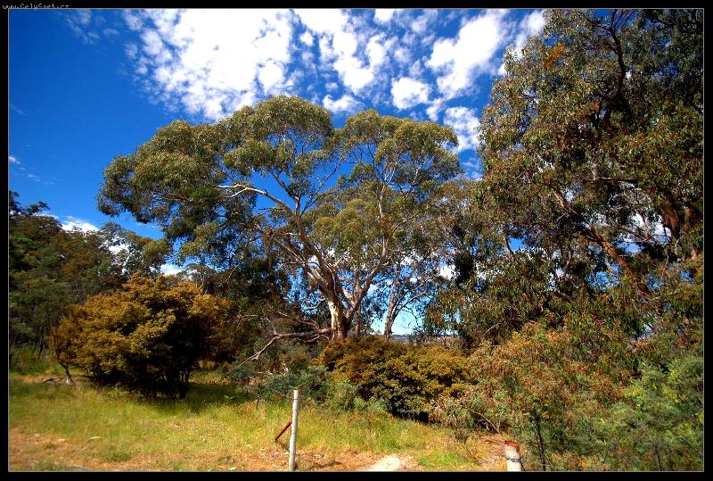 Foto: Kousek Austr�lie-u kamr�da na ran�i