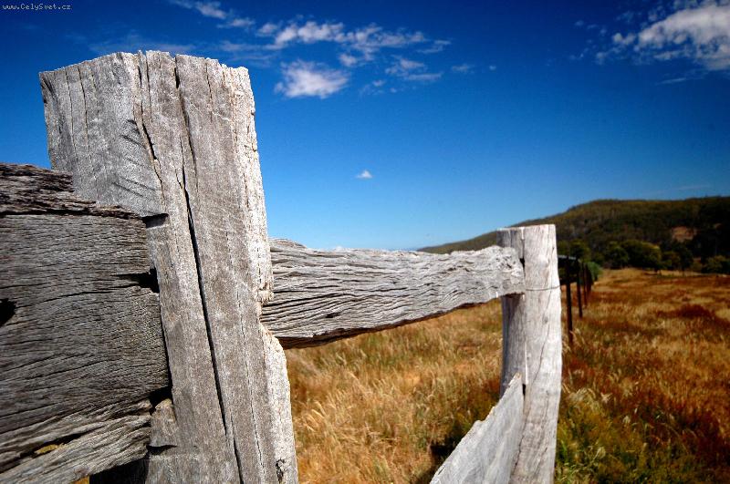 Foto: Plot-star� plot na ran�i  v Austr�lii