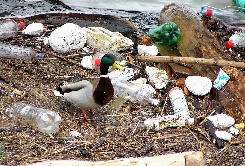 Foto: Tady bydl�m...