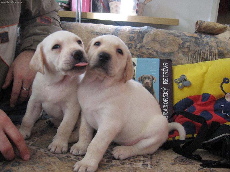 Foto: "to jsme ale krasn�"-�t���tka