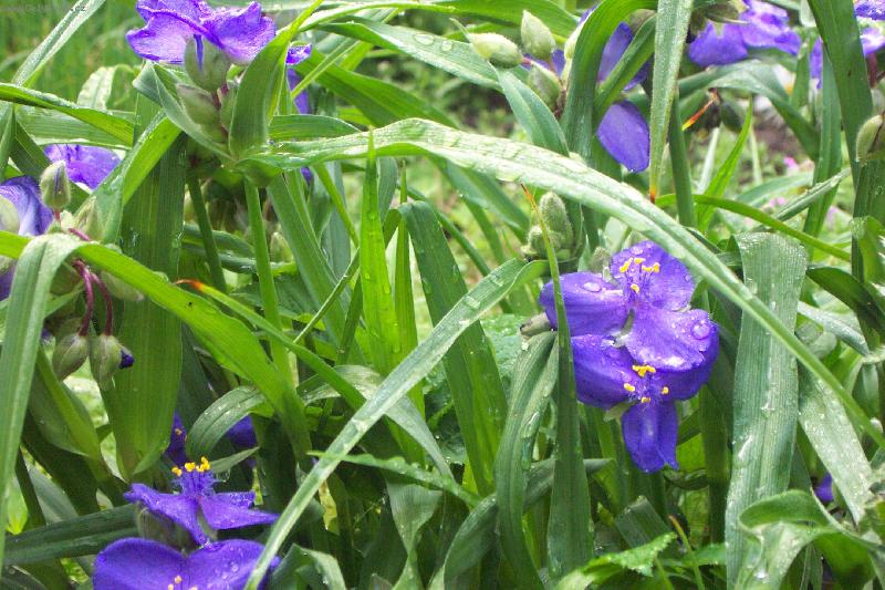 Foto: PODLɎKA-kr�sn� bo�� oko