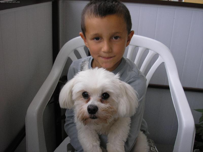 Foto: ROSTIK A JEHO MIL��EK GINA-A JSME ST�LE SPOLU