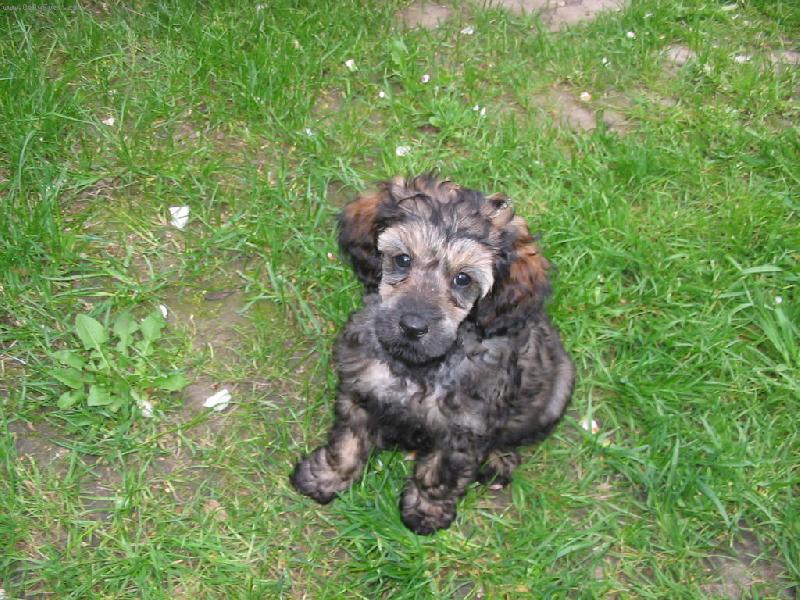 Foto: Betynka-Betynka na zahrade