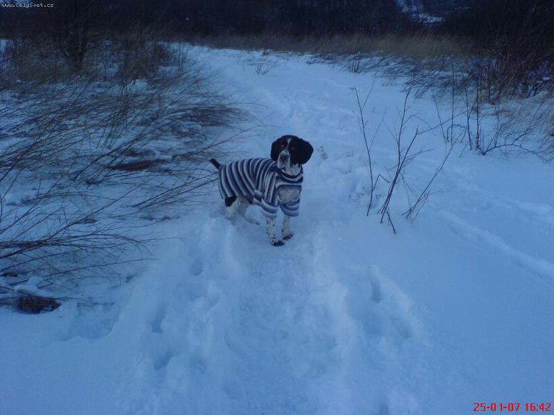 Foto: Zima-Je zima a j� sem �erstv� ost��han� tak�e sem musel na rychlo sehnat oble�ek. Proto m�m na sob� pani�ky svetr =)