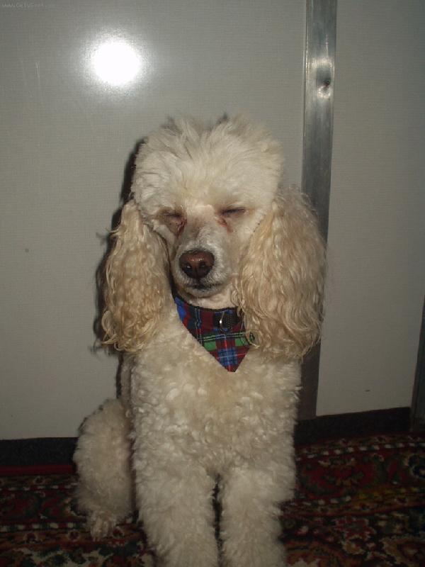 Foto: n� mil�ek-nesvit mi tolik do o��