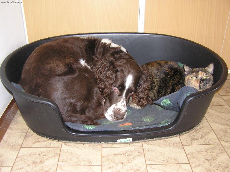 Foto: S k�mo�kou-Odpo�inek =)