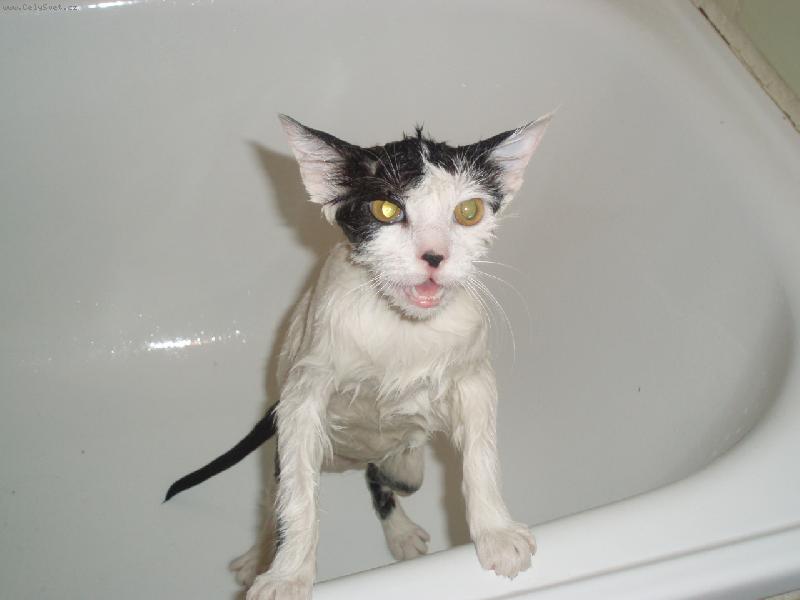 Foto: Na�e Yolanda-takhle se  koupu