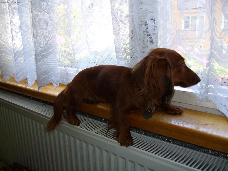 Foto: moje nejobl�ben�j�� m�ste�ko-tady sed�m nejrad�i