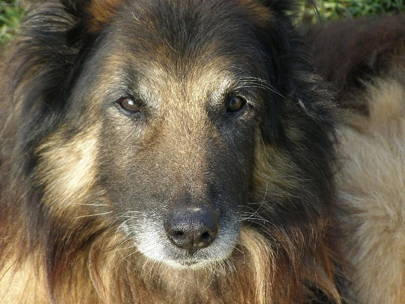 Foto: Star� p�n-Na�emu Danovi zb�vaj� posledn� t�i dny �ivota.