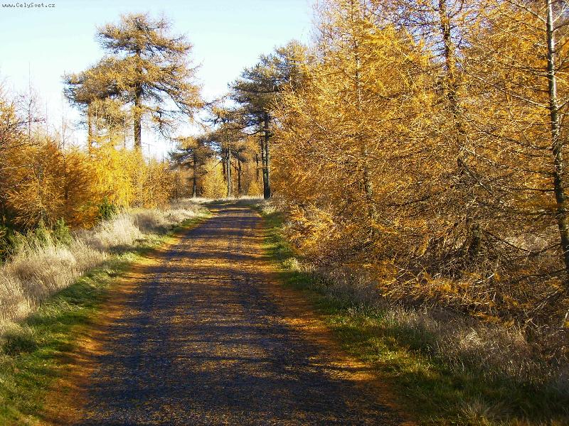 Foto: podzim na D���nsk�m Sn�n�ku