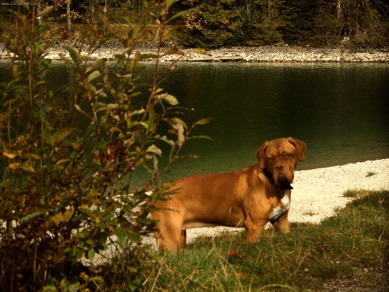 Foto: Berryl miluje podzim