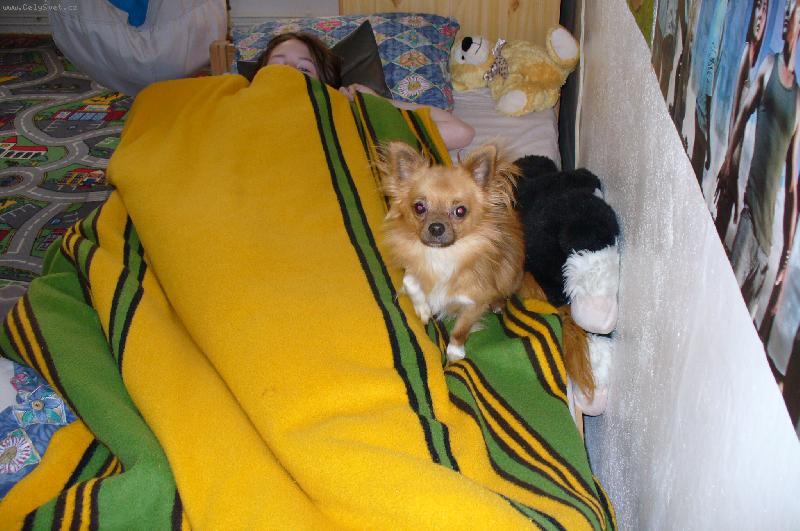 Foto: Fil�pek-tady je mi nejl�pe