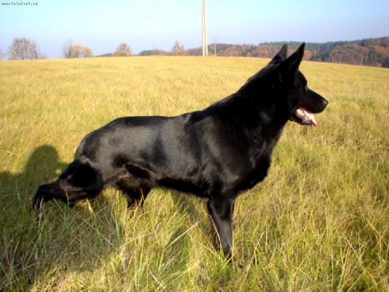 Foto: Kelly-podzimn� den