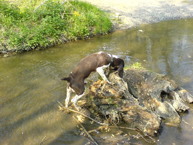 Foto: Miluju vodu a velk� aporty- =)