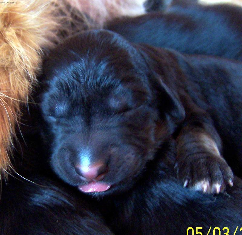 Foto: M�m hlade�ek.-M�m hlade�ek.