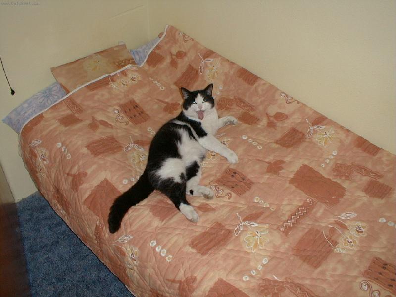 Foto: Nesm�j se mi