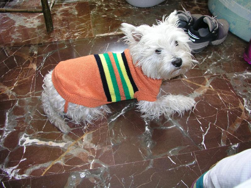 Foto: v oblecku-rolacek mi sedne,ze!