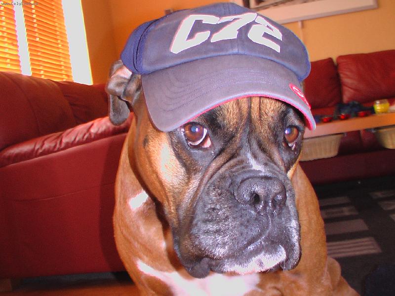 Foto: N� Edo�ek-tak vezme m� u� n�kdo ven SAKRA