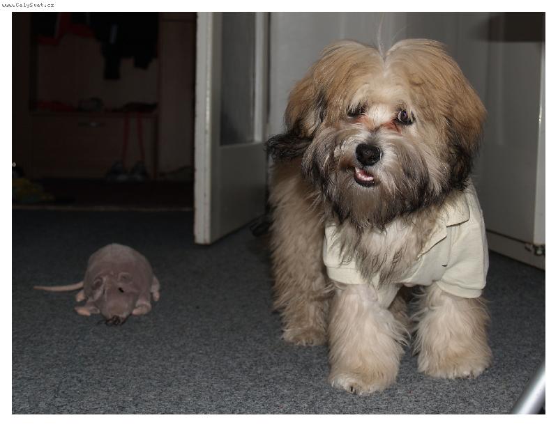 Foto: Sundej to ze m� nebo...-...uvid�!!!