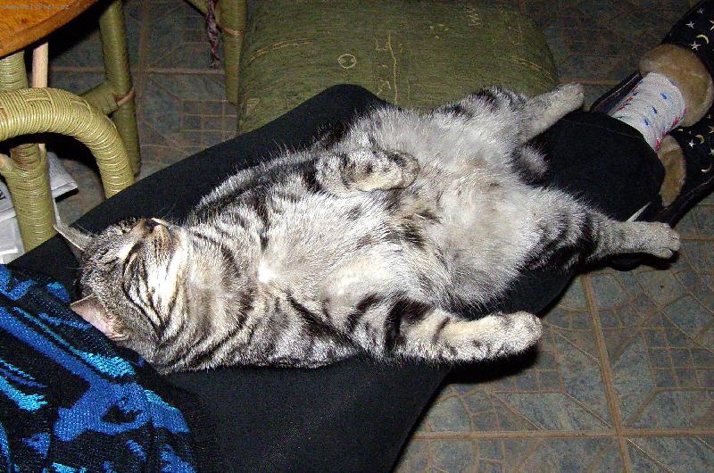 Foto: Zase jsem u t� televize usnul!