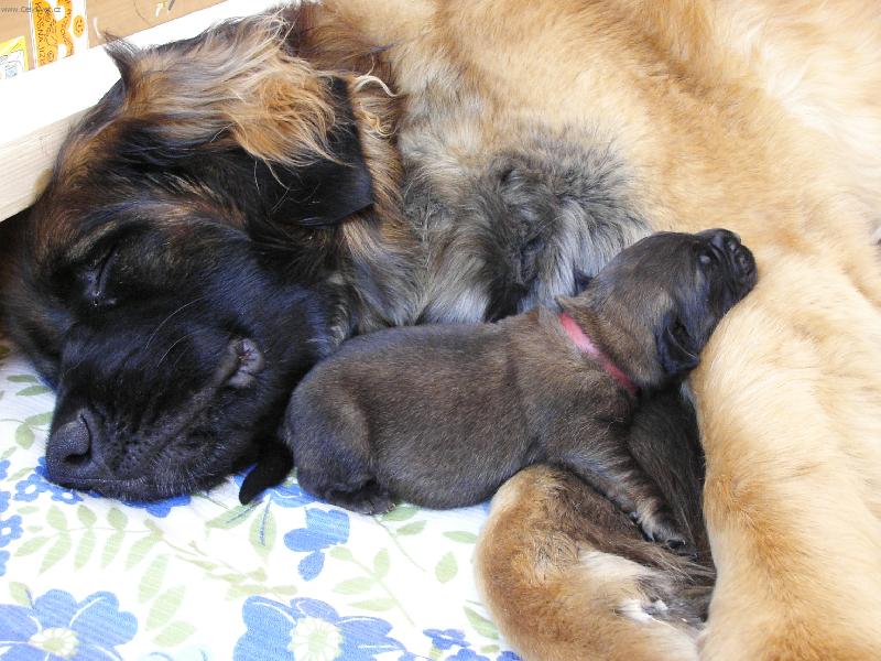 Foto: Sladk� sp�nek po sn�dani