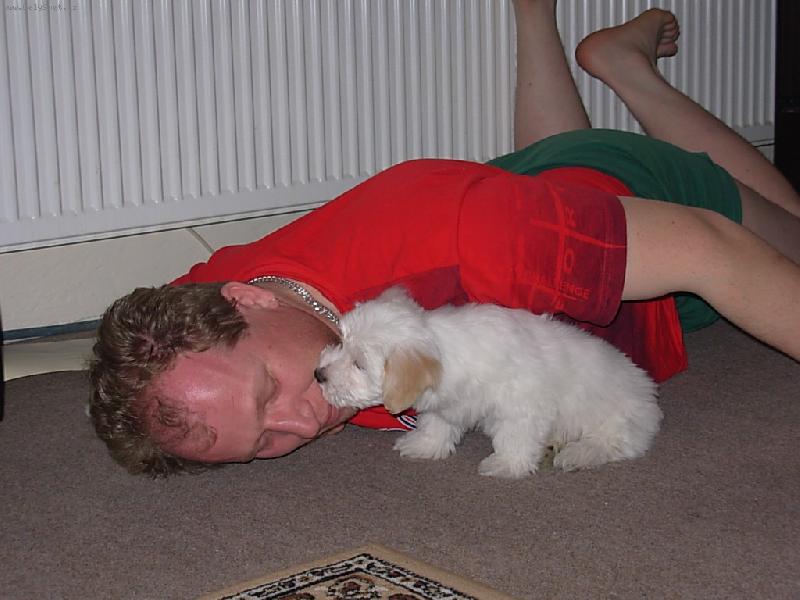 Foto: N� �um��ek....-Pusinka p�ni�kovi na dobrou noc....