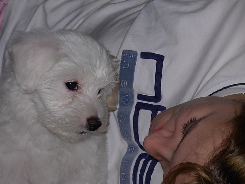 Foto: Na�e mal� radost...-Ty m� bejt jako m� p�ni�ka?!