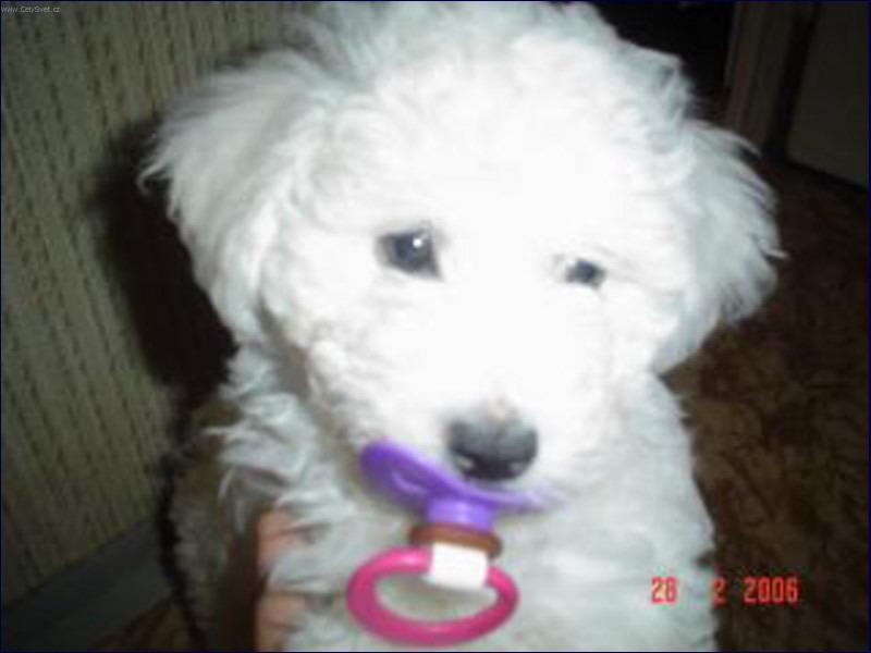 Foto: Zlod�j��ek-Je�t� jsem miminko tak m��u