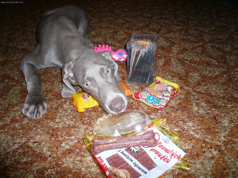 Foto: V�marsk� oha� Ax-Ax a jeho v�no�n� d�rky