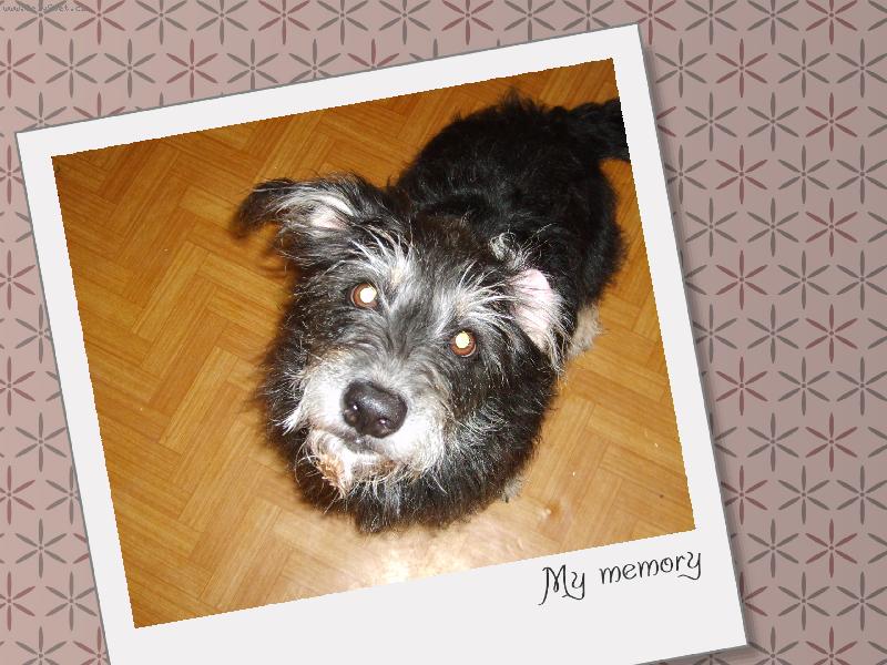 Foto: Tak to jsem ja Nelinka:-)-Pane�ku p�jdeme vene�ek?