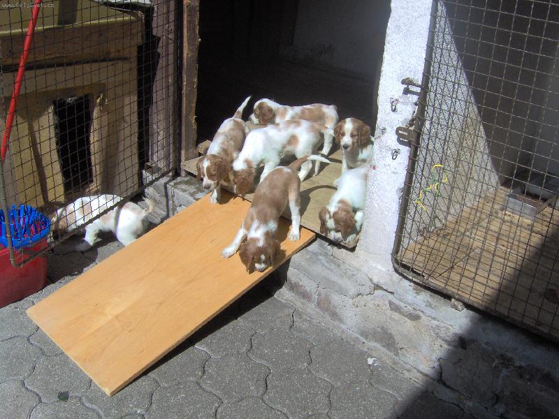 Foto: prvn� kroky venku-Po prv� venku -nov� pohled na sv�t