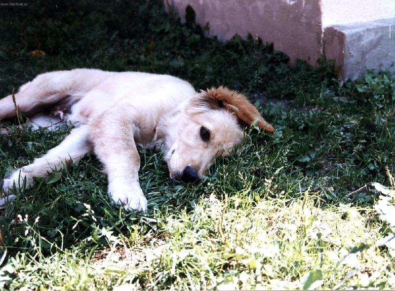 Foto: Nechte m� spinkat