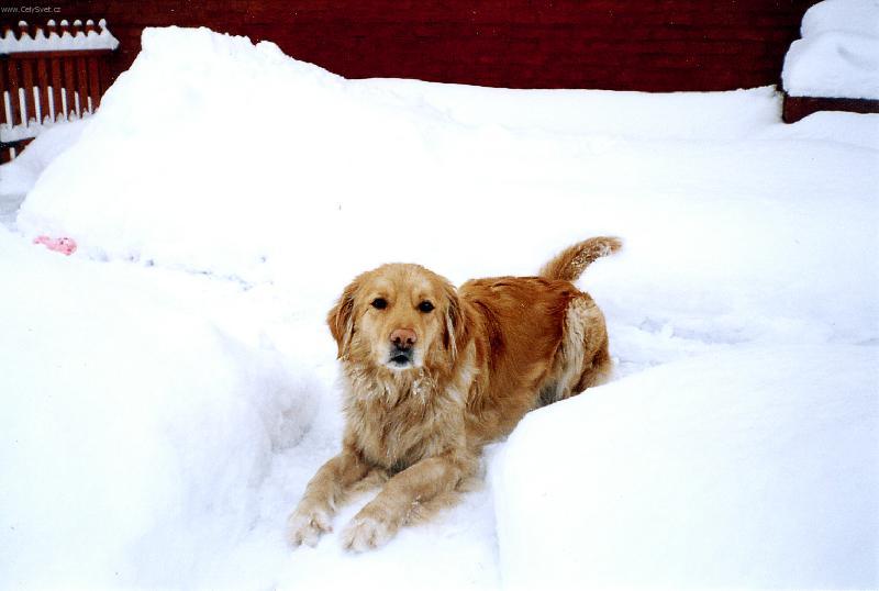 Foto: To je v�echno moje