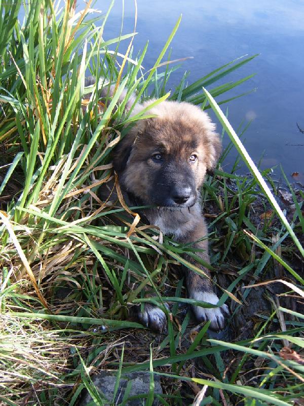 Foto: Nerinek-�pln� r�kosn��ek