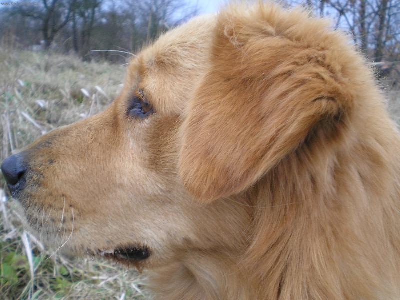 Foto: Max-portr�t:)