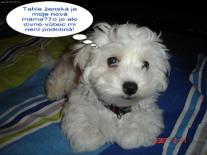 Foto: Mat�sek-Tuhle kuli�ku jsme si v�era p�ivezli.