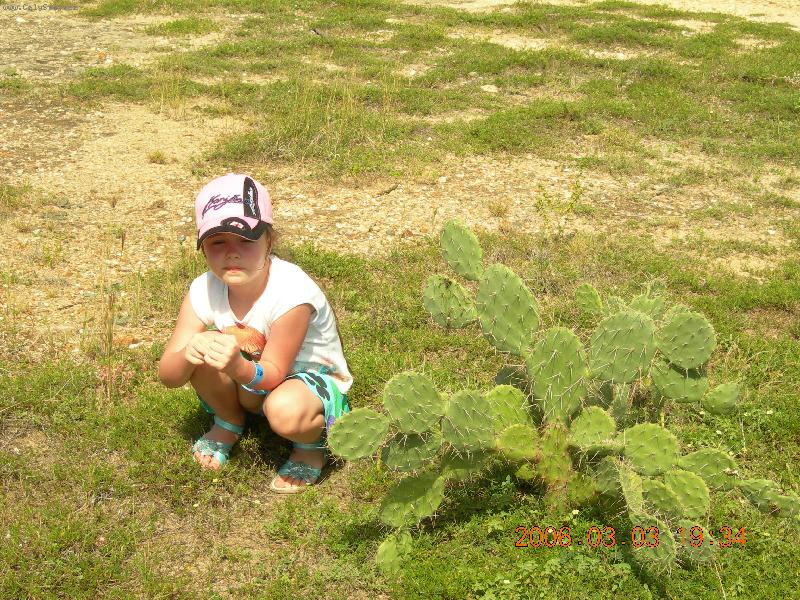 Foto: Tomu ��kaj� dovolen�?Kaktusy a zase kaktusy.