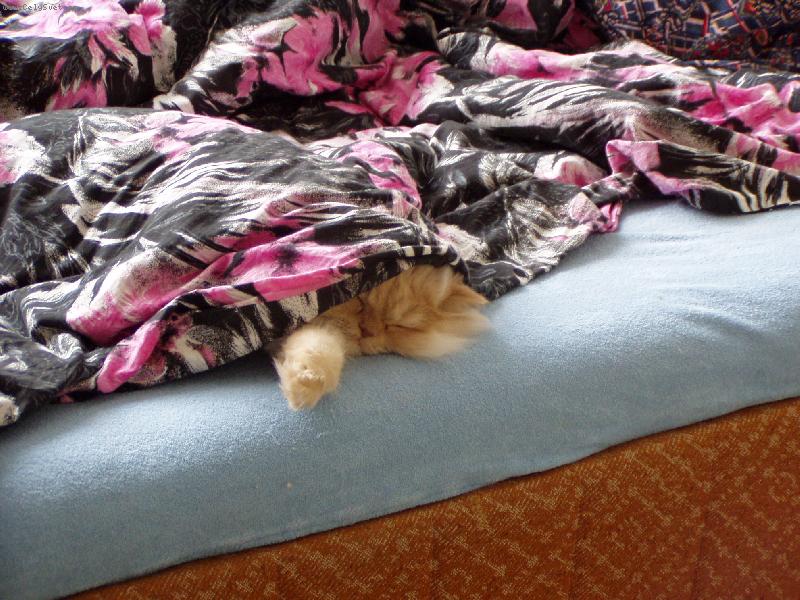 Foto: takhle j� spink�m-Popelka