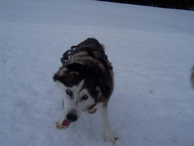 Foto: �jinka-Je-li t�eba se trochu oklepat