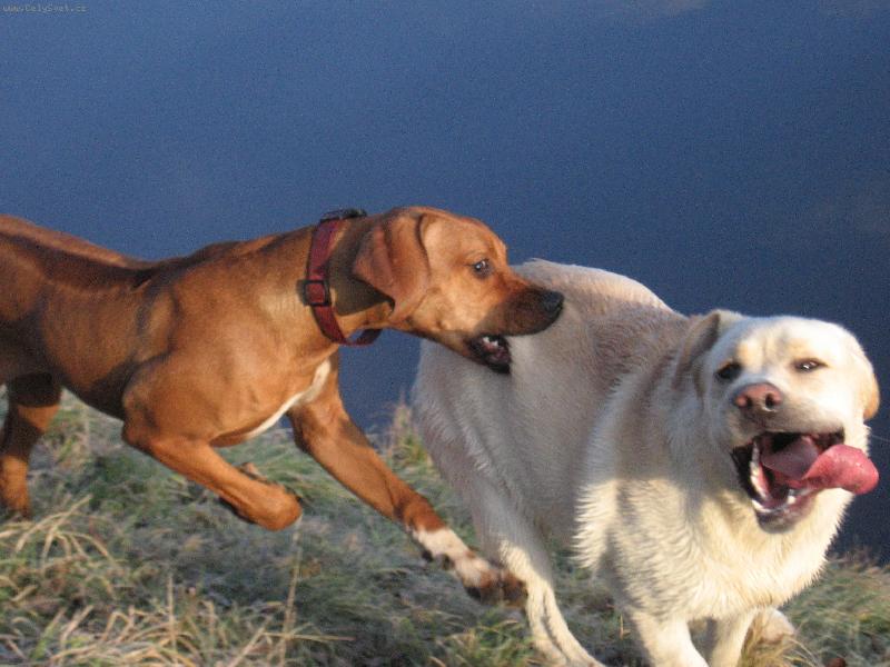 Foto: Neute�e� jsem lep��