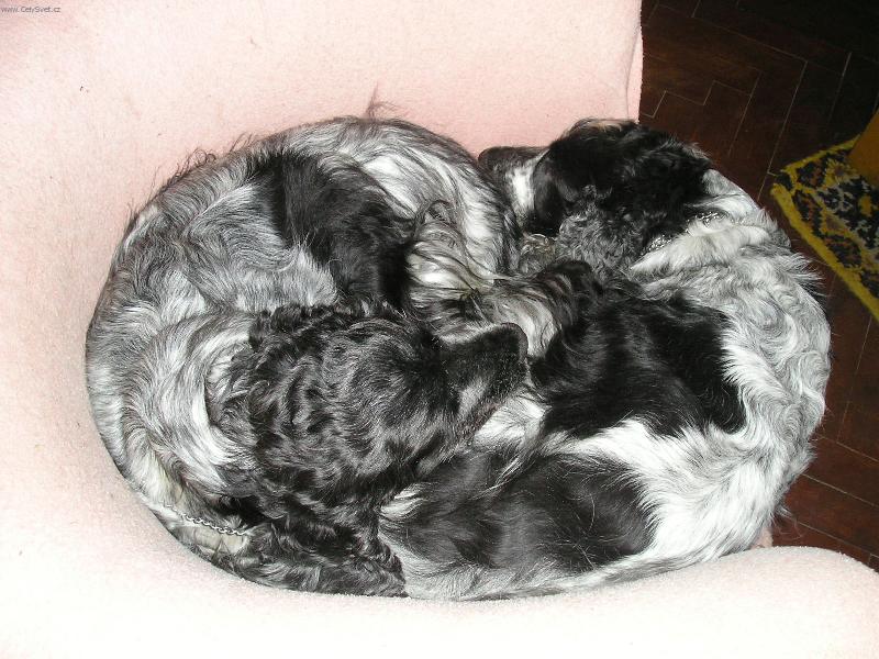 Foto: Klub��ko-dokonal� souhra matky s dcerou