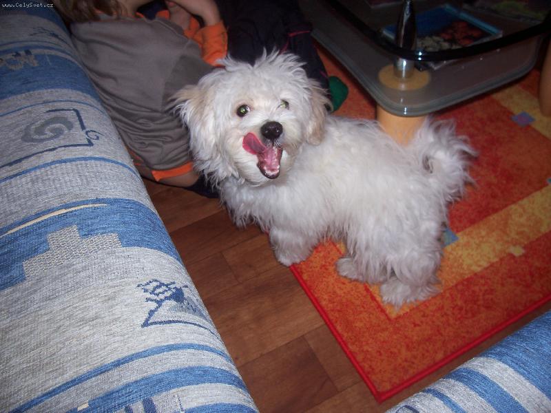 Foto: m�j Time�ek-super z�b�r