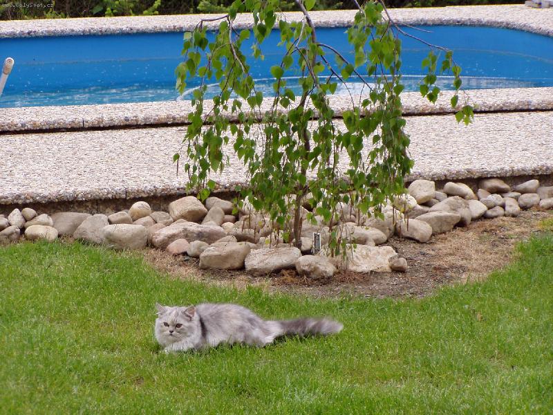 Foto: Megie u baz�nu