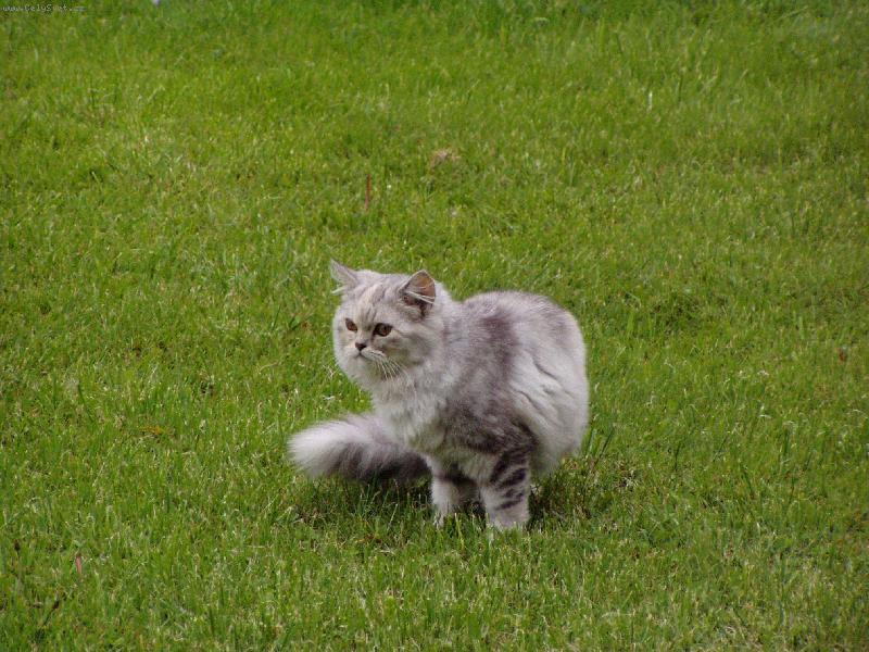 Foto: Megie-A zase nic...J� tu my� snad nikdy nechyt�m...